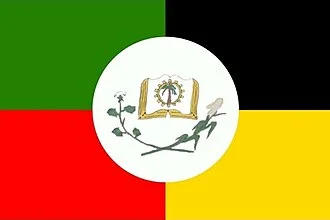 Bandeira de Paraibano
