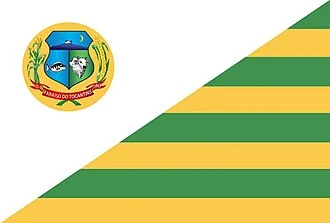 Bandeira de Paraíso do Tocantins