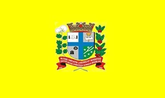 Bandeira de Paranavaí