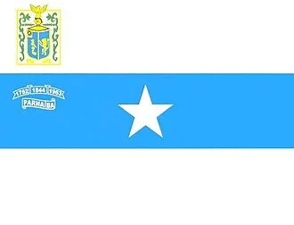 Bandeira de Parnaíba