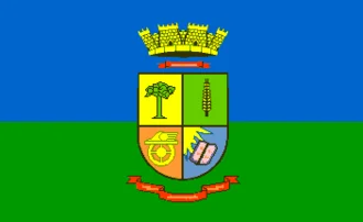 Bandeira de Passo Fundo