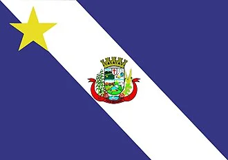 Bandeira de Pato Bragado