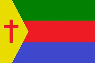 Bandeira de Pau Brasil