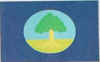 Bandeira de Paudalho