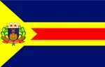 Bandeira de Pedro Gomes