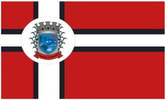 Bandeira de Pereira Barreto