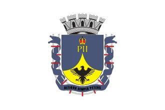 Bandeira de Petrópolis