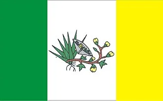 Bandeira de Picuí