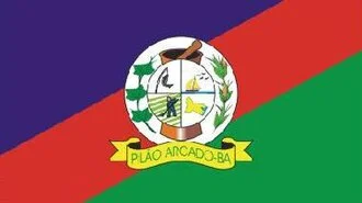 Bandeira de Pilão Arcado