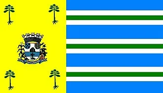 Bandeira de Pinhalzinho