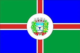 Bandeira de Pinhão