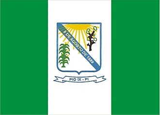 Bandeira de Pio IX