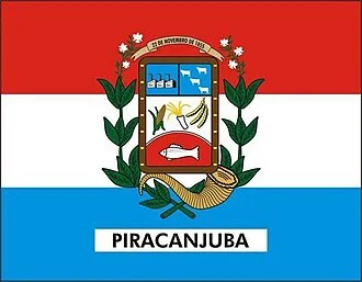 Bandeira de Piracanjuba