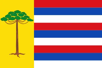 Bandeira de Pitanga
