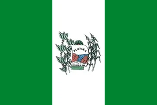 Bandeira de Platina