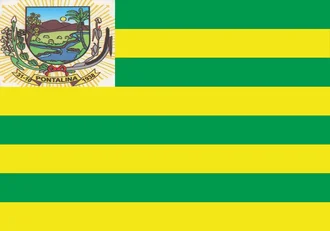 Bandeira de Pontalina