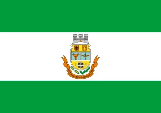 Bandeira de Presidente Getúlio