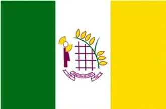 Bandeira de Primavera do Leste