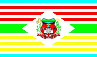 Bandeira de Professor Jamil