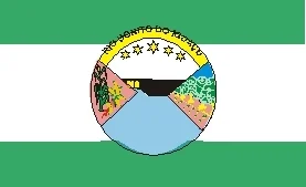 Bandeira de Rio Bonito do Iguaçu