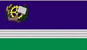 Bandeira de Rio Negrinho