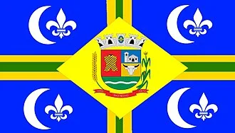 Bandeira de Rio Novo