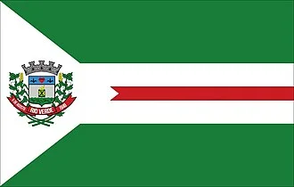 Bandeira de Rio Verde