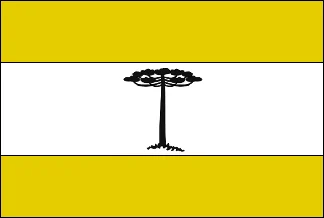 Bandeira de Roncador