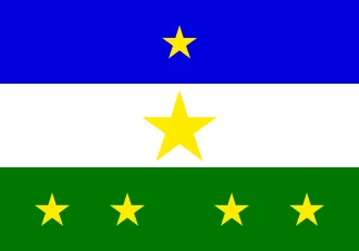Bandeira de Rorainópolis