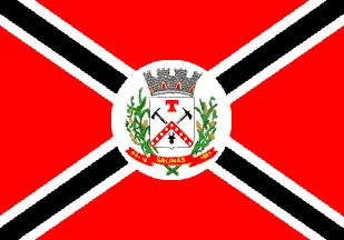 Bandeira de Salinas