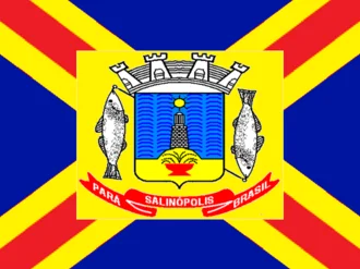 Bandeira de Salinópolis