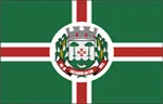 Bandeira de Salvador do Sul