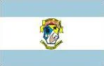 Bandeira de Salvaterra