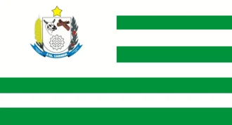 Bandeira de Santa Carmem