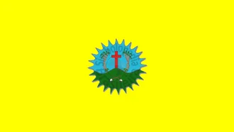 Bandeira de Santa Cruz da Baixa Verde