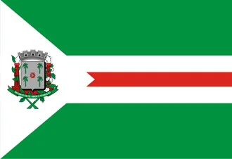 Bandeira de Santa Cruz das Palmeiras