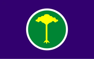 Bandeira de São Carlos