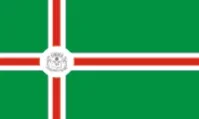 Bandeira de São Domingos do Prata