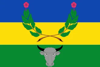 Bandeira de São Gonçalo dos Campos
