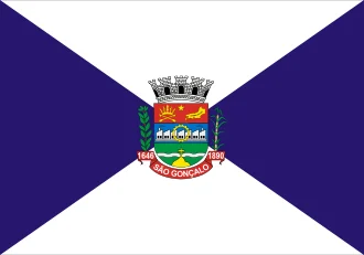 Bandeira de São Gonçalo