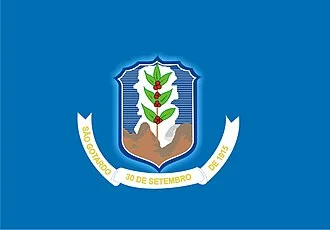 Bandeira de São Gotardo