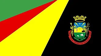 Bandeira de São Jerônimo
