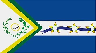 Bandeira de São João d'Aliança