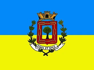 Bandeira de São João do Pau d'Alho