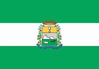 Bandeira de São Joaquim