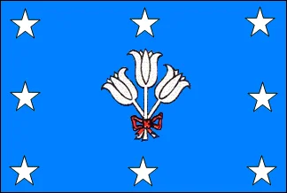 Bandeira de São José da Bela Vista