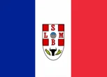 Bandeira de São Luís de Montes Belos