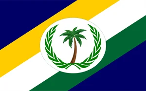 Bandeira de São Miguel do Tocantins