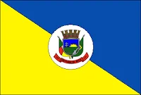 Bandeira de São Pedro do Butiá