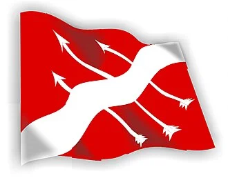 Bandeira de São Sebastião do Passé